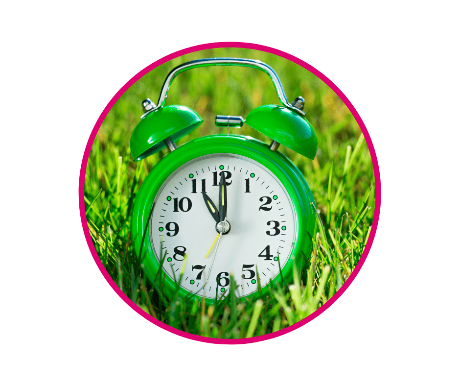 Clock on grass