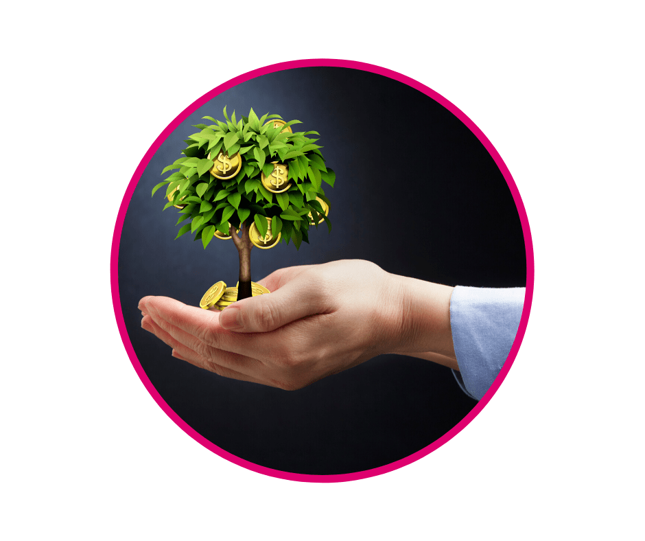 Haverhill Accountants & Software Money tree in hand
