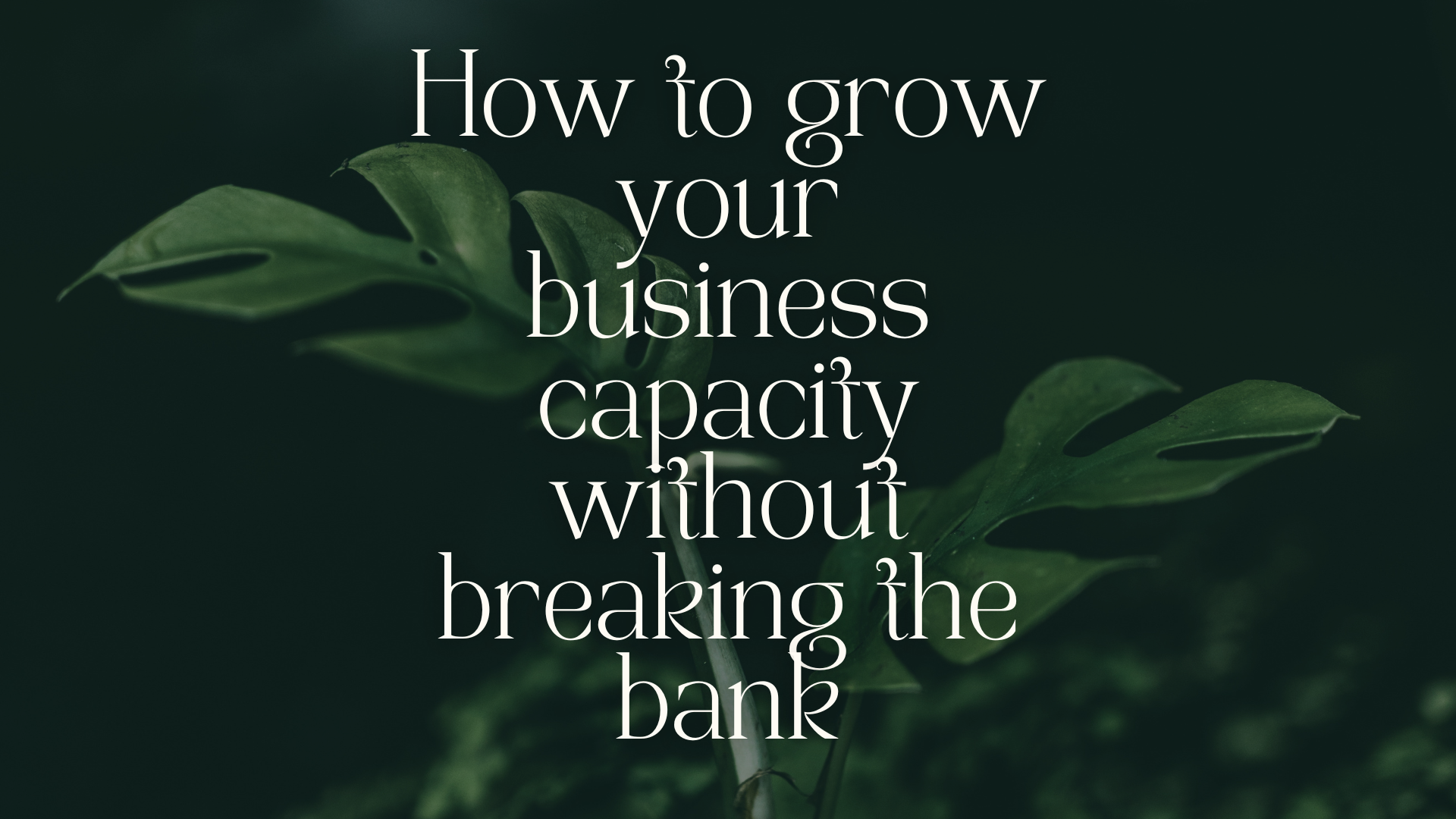 How to increase your business capacity without breaking the bank!