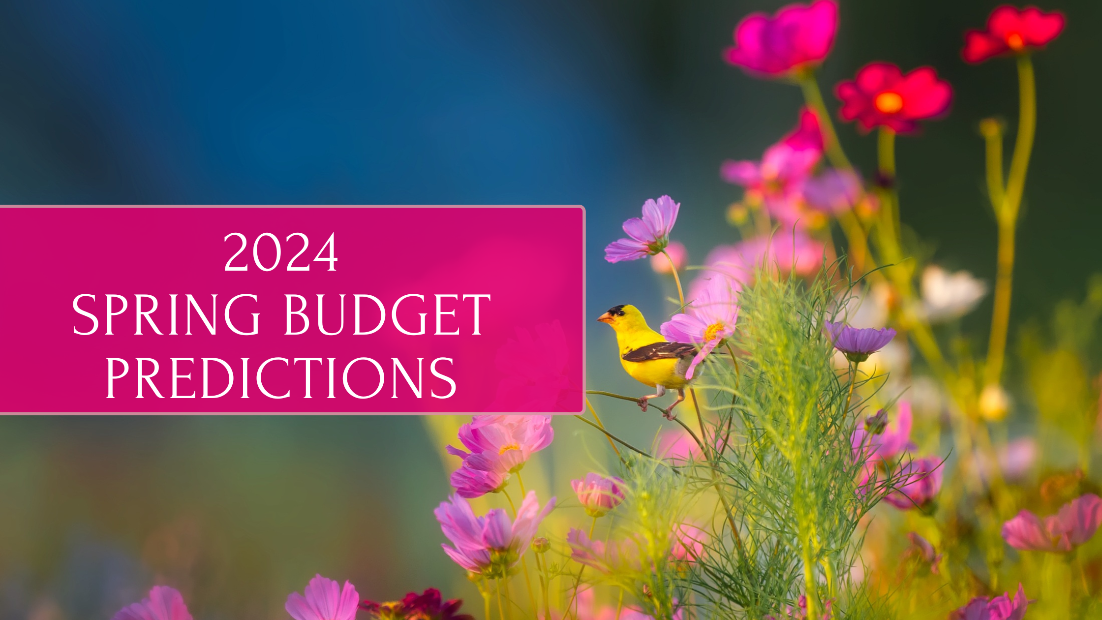 spring budget predictions